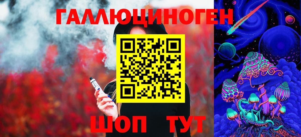 Галлюциногенные грибы GOLDEN TEACHER  Вход с VPN  Камышин  Псилоцибиновые грибы MAGIC MUSHROOMS 