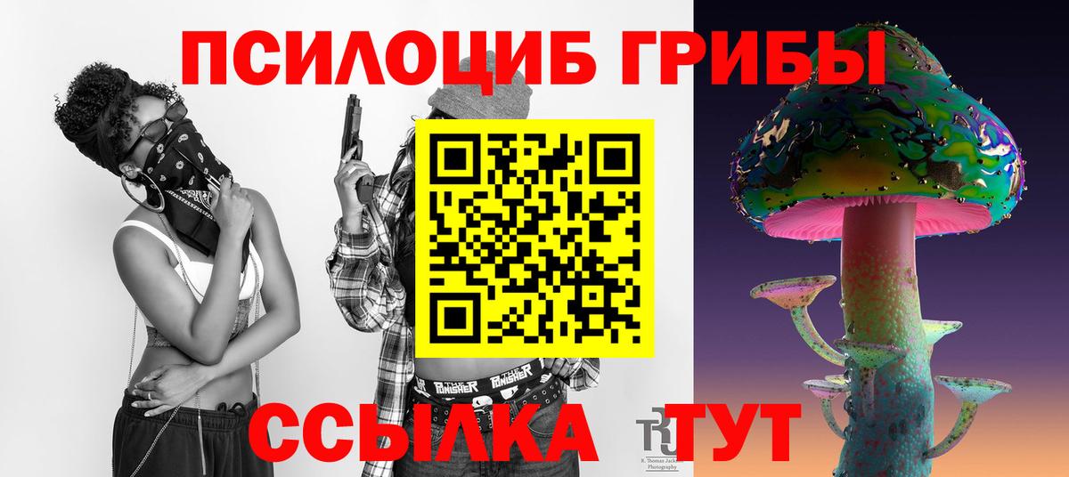 Псилоцибиновые грибы Psilocybine cubensis Камышин
