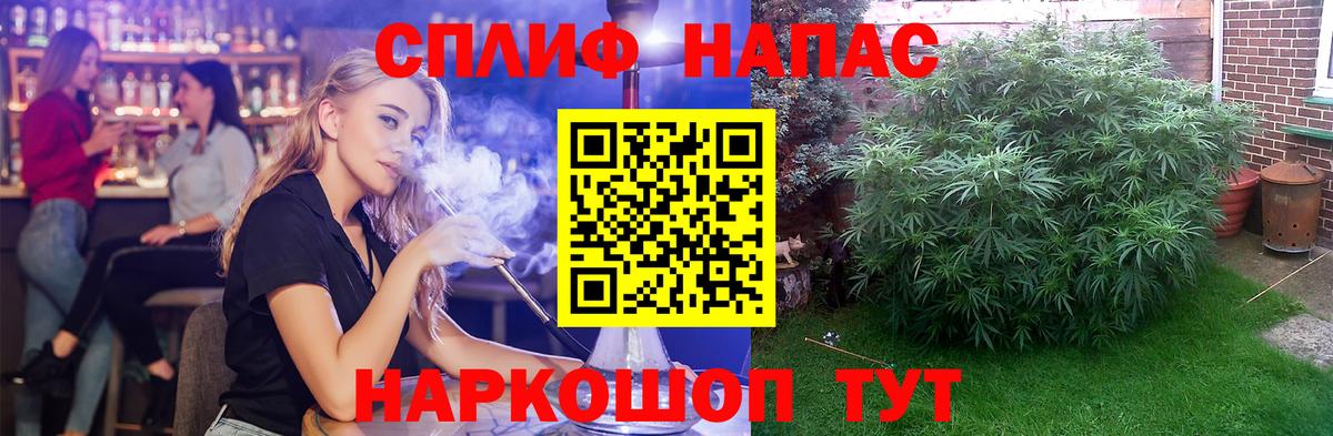 Бошки марихуана план  Шишки марихуана VHQ  Бошки Шишки THC 21%  Вход с VPN  Камышин 